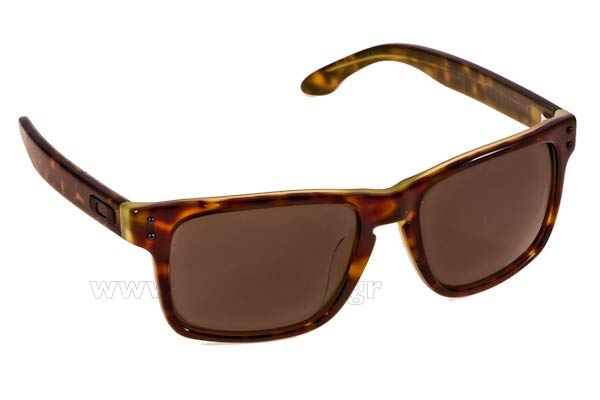 Sunglasses Oakley Holbrook LX 2048 01