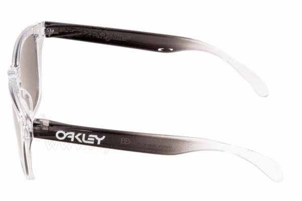 Oakley model Frogskins 9013 color 72 alpine storm chrome iridium