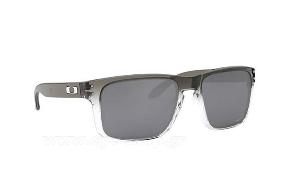 Sunglasses Oakley Holbrook 9102 O2