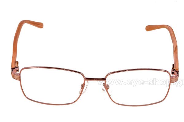 Eyeglasses Pierre Cardin 8750