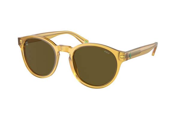 Sunglasses Polo Ralph Lauren 4192 500573