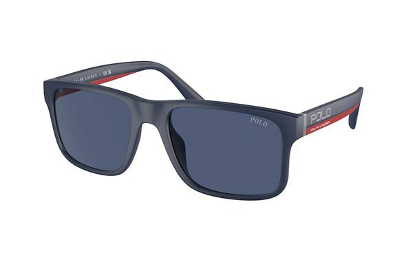 Sunglasses Polo Ralph Lauren 4195U 590480