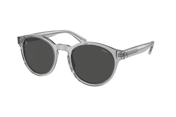 Sunglasses Polo Ralph Lauren 4192 541387