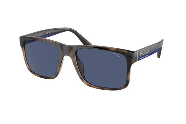 Sunglasses Polo Ralph Lauren 4195U 597480