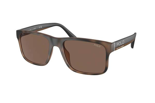 Sunglasses Polo Ralph Lauren 4195U 607073