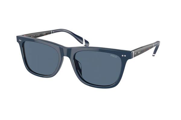 Sunglasses Polo Ralph Lauren 4205U 546580