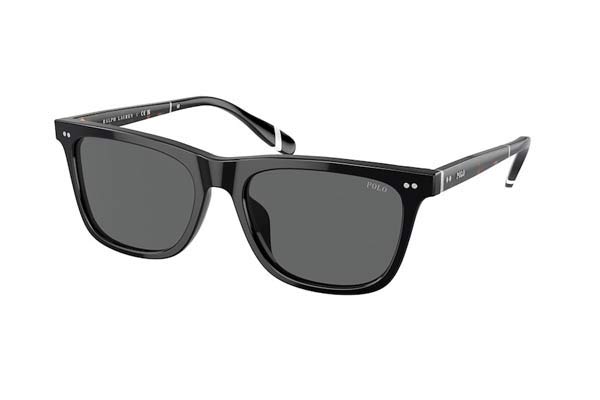 Sunglasses Polo Ralph Lauren 4205U 500187