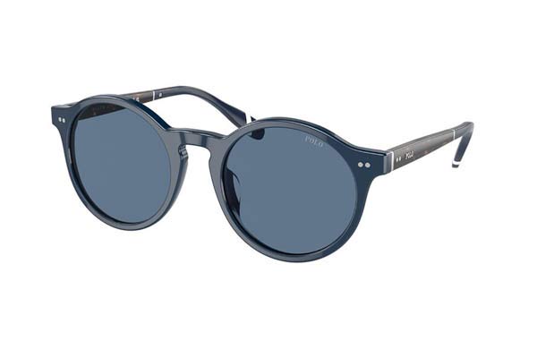 Sunglasses Polo Ralph Lauren 4204U 546580