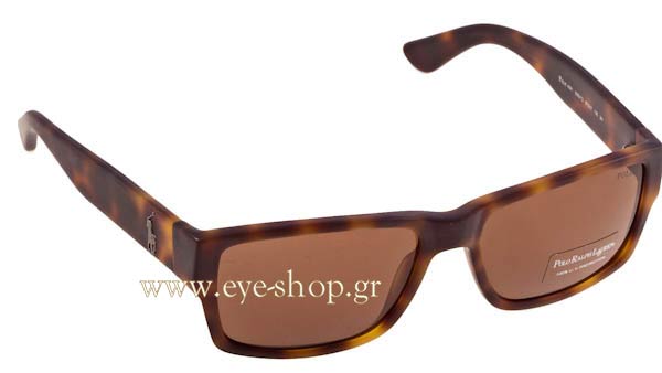 Sunglasses Polo Ralph Lauren 4061 530373