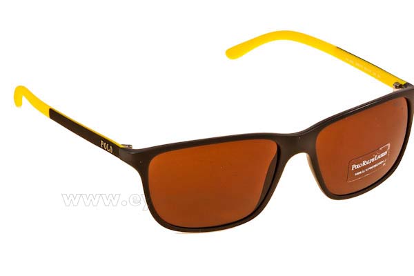 Sunglasses Polo Ralph Lauren 4092 550773