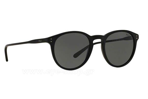 Sunglasses Polo Ralph Lauren 4110 528487