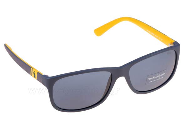 Sunglasses Polo Ralph Lauren 4109 558880