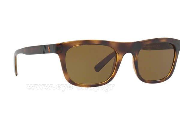 Sunglasses Polo Ralph Lauren 4126 500373