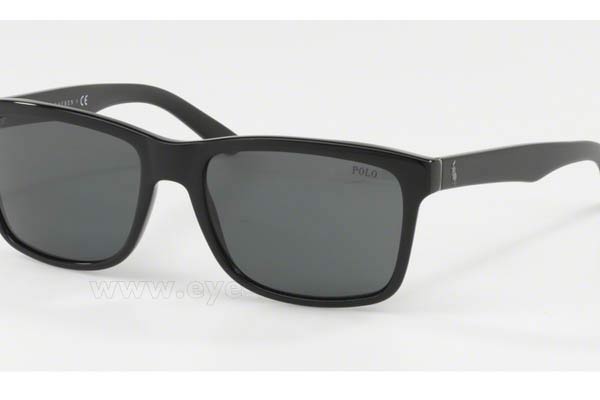 Sunglasses Polo Ralph Lauren 4098 500187