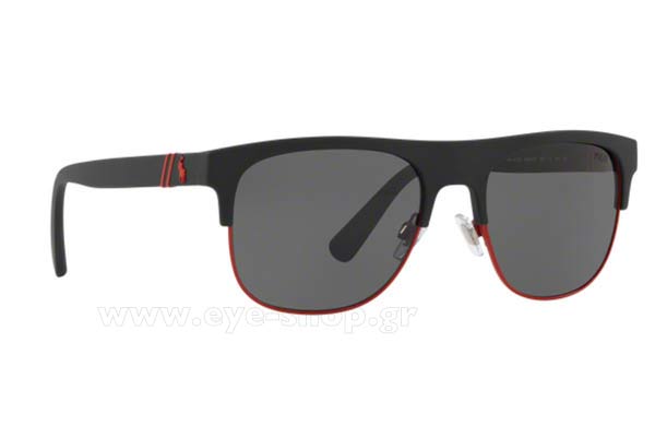 Sunglasses Polo Ralph Lauren 4132 528487