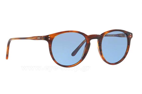 Sunglasses Polo Ralph Lauren 4110 500772