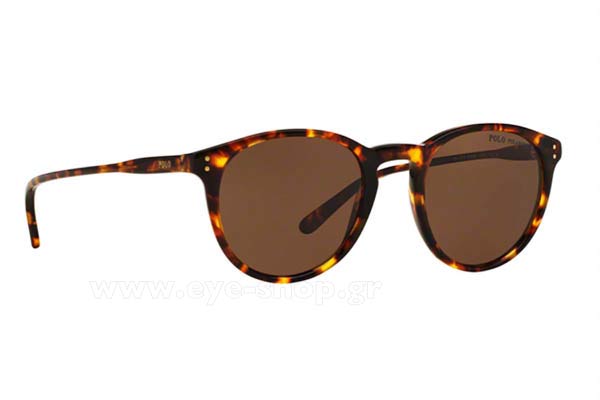 Sunglasses Polo Ralph Lauren 4110 513483