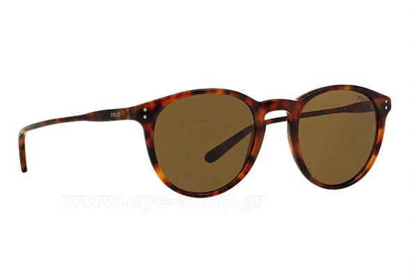 Sunglasses Polo Ralph Lauren 4110 501773