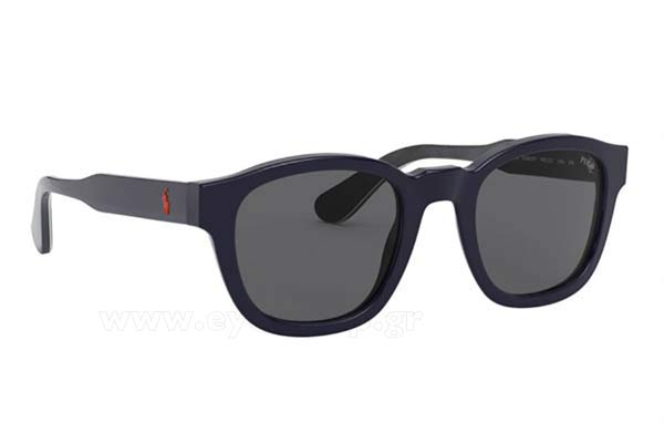 Sunglasses Polo Ralph Lauren 4159 558687