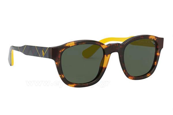 Sunglasses Polo Ralph Lauren 4159 535171