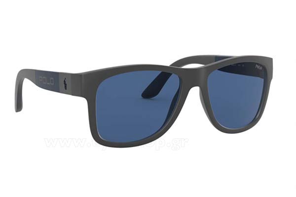 Sunglasses Polo Ralph Lauren 4162 563580