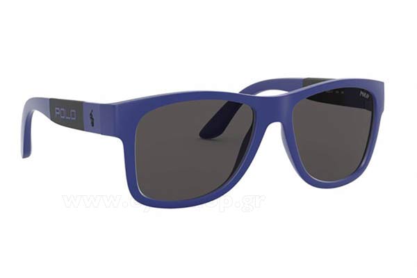 Sunglasses Polo Ralph Lauren 4162 580887