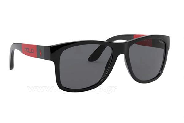 Sunglasses Polo Ralph Lauren 4162 500187