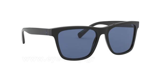 Sunglasses Polo Ralph Lauren 4167 500180
