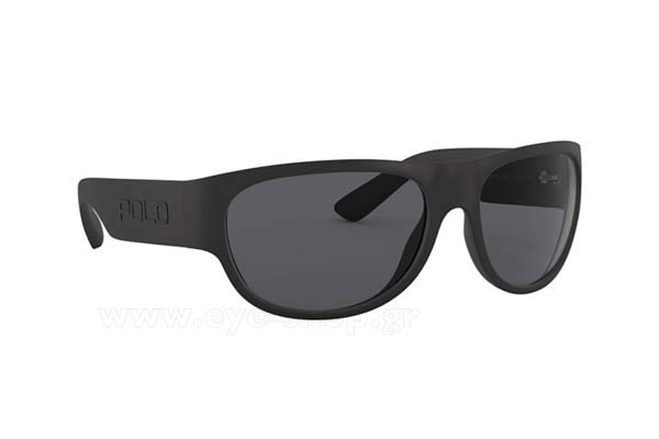 Sunglasses Polo Ralph Lauren 4166 528487