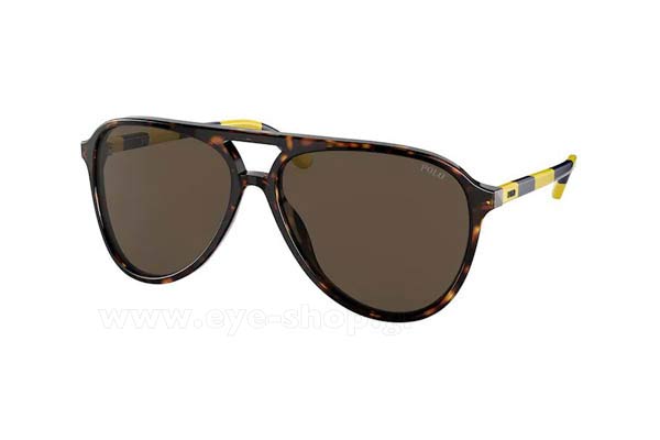 Sunglasses Polo Ralph Lauren 4173 500373
