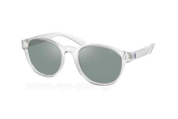 Sunglasses Polo Ralph Lauren 4176 58697C