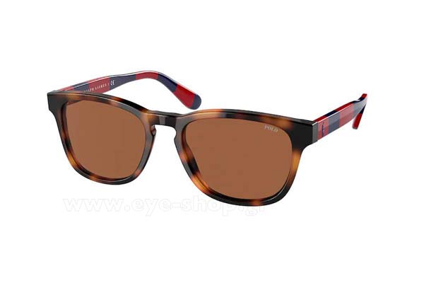 Sunglasses Polo Ralph Lauren 4170 530373