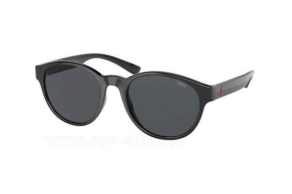 Sunglasses Polo Ralph Lauren 4176 552387