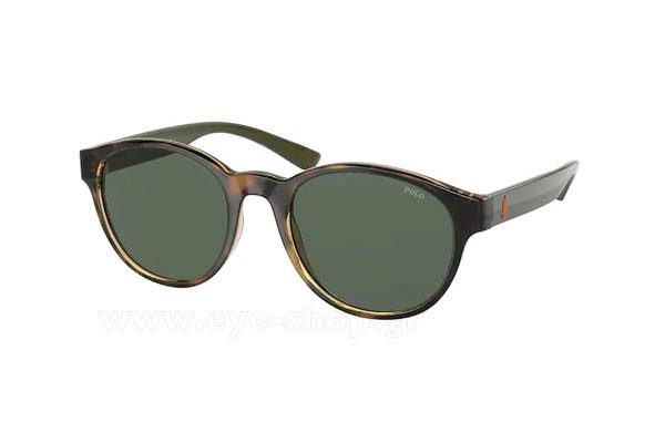 Sunglasses Polo Ralph Lauren 4176 500371