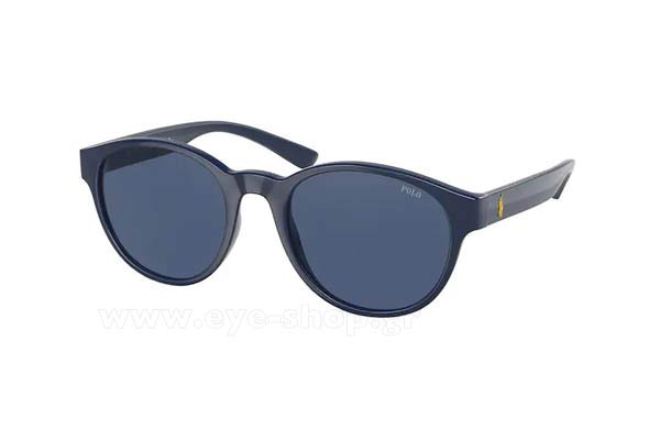 Sunglasses Polo Ralph Lauren 4176 562080