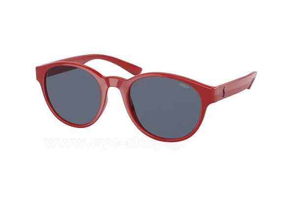 Sunglasses Polo Ralph Lauren 4176 559487