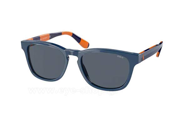 Sunglasses Polo Ralph Lauren 4170 590587