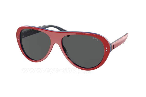 Sunglasses Polo Ralph Lauren 4178 599387