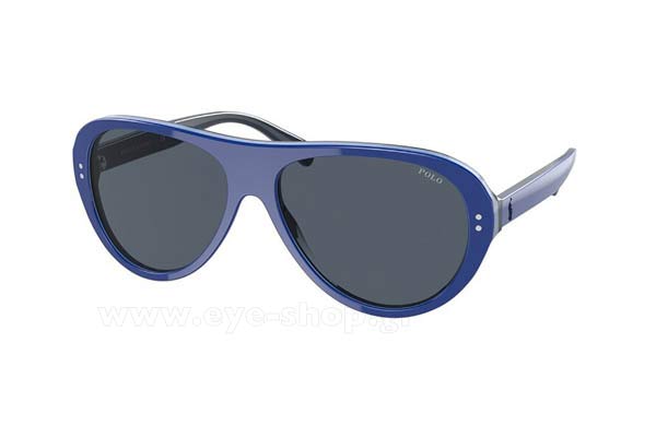 Sunglasses Polo Ralph Lauren 4178 599287