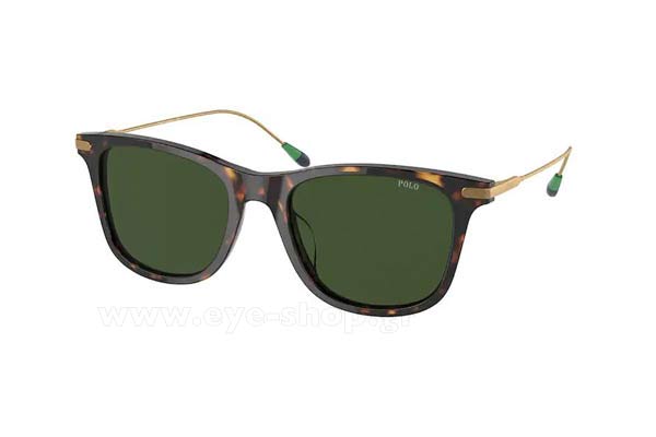 Sunglasses Polo Ralph Lauren 4179U 500371