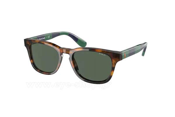Sunglasses Polo Ralph Lauren 9503 501771