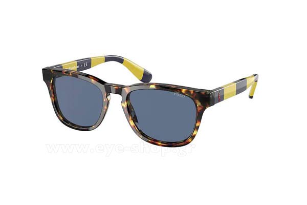 Sunglasses Polo Ralph Lauren 9503 513480