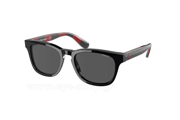 Sunglasses Polo Ralph Lauren 9503 500187