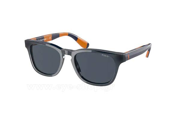 Sunglasses Polo Ralph Lauren 9503 590587