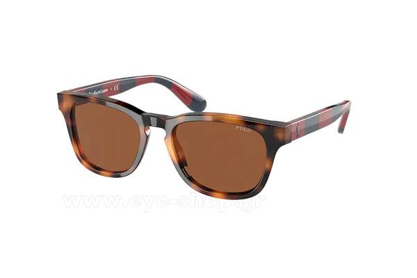 Sunglasses Polo Ralph Lauren 9503 530373