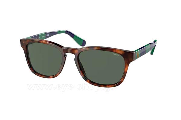 Sunglasses Polo Ralph Lauren 4170 501771