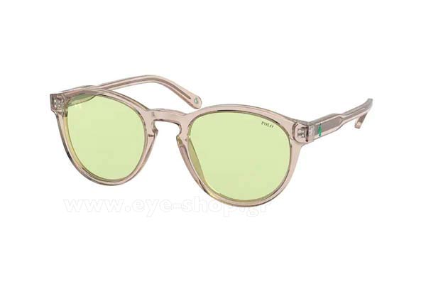 Sunglasses Polo Ralph Lauren 4172 5952/2