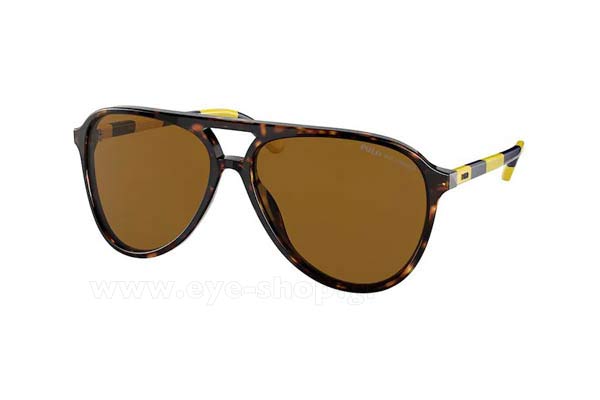 Sunglasses Polo Ralph Lauren 4173 500383