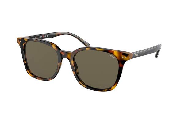 Sunglasses Polo Ralph Lauren 4187 5309/3