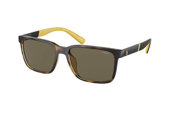 Sunglasses Polo Ralph Lauren 4189U 5003/3